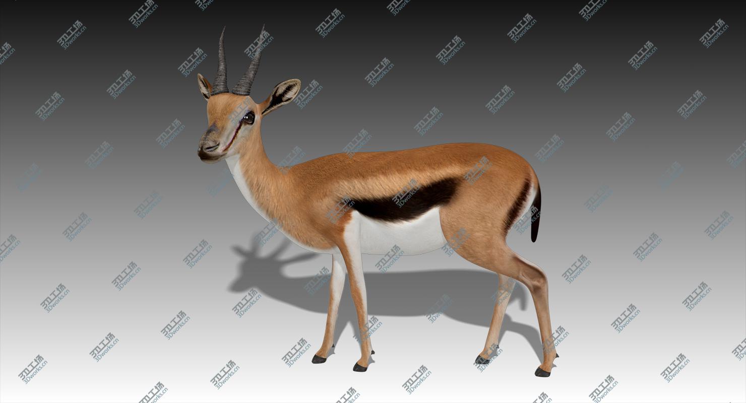 images/goods_img/2021040162/3D Gazelle Rigged/1.jpg